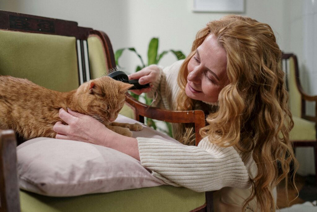 Vrouw borstelt een oranje kat thuis tijdens een rustige vachtverzorging.